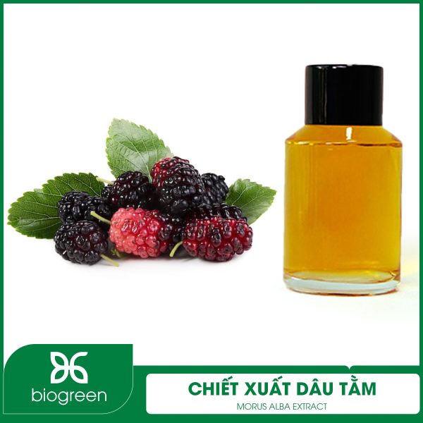 Chiết xuất dâu tằm là gì?
